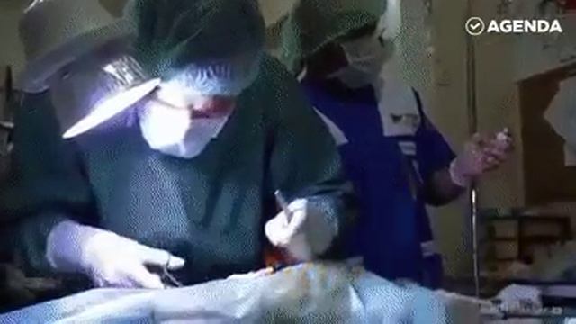 Очень умная кошка. смотреть онлайн