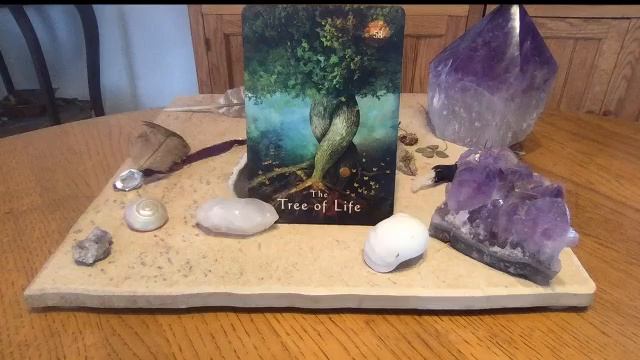 Daily Life Path Oracle Reading ~ The Tree of Life смотреть онлайн