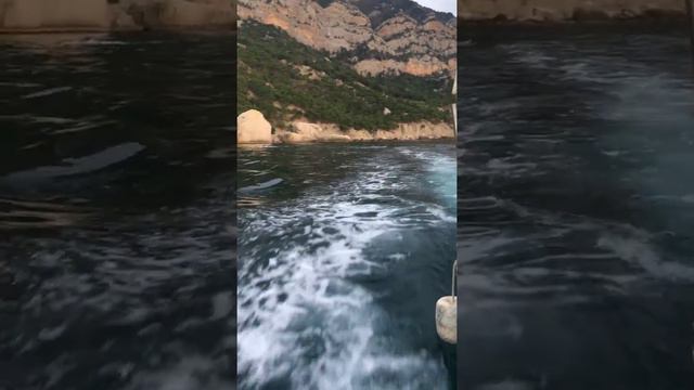 Дельфины, Балаклава, Инжир, Крым смотреть онлайн