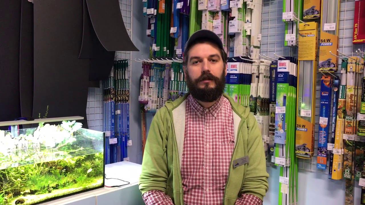 26 января делимся знаниями и дарим подарки покупателям смотреть онлайн