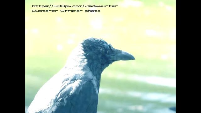 Останься со мной [стих] смотреть онлайн