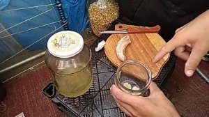 Самая эффективная и бюджетная Ловушка для тараканов