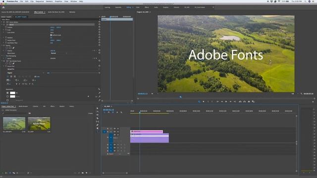 2019 Adobe Fonts not syncing with Premiere? FIXED // In 60 seconds смотреть онлайн