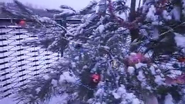PC257461 Поздравление и впечатление. смотреть онлайн