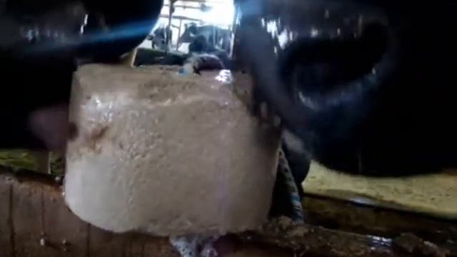 Первый российский ЭкоБиоПродукт - видеопрезентация смотреть онлайн