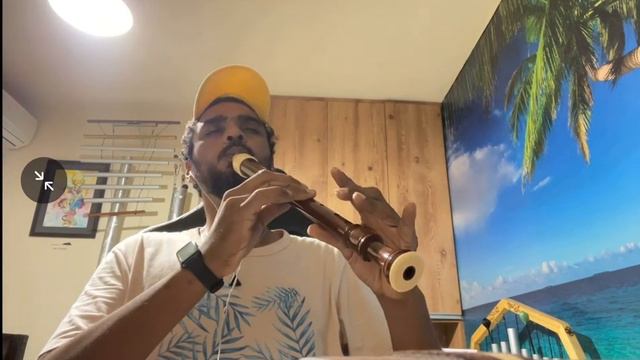 Lira de corpo e flauta doce смотреть онлайн