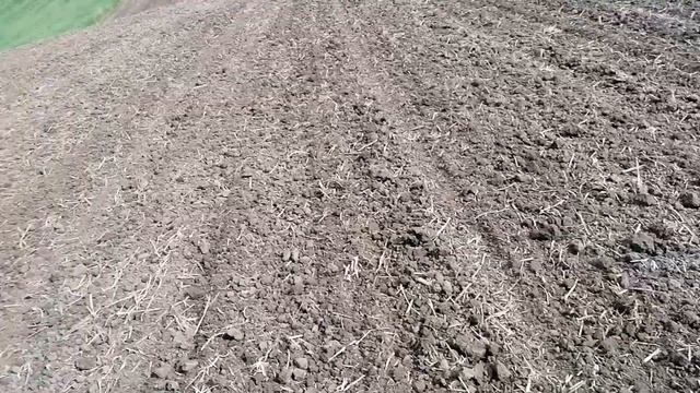 Посів ріпаку та підготовка грунту #horschpronto #johndeere смотреть онлайн