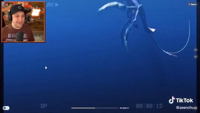 Unbelievable BLOOP FOOTAGE Caught On Camera! смотреть онлайн
