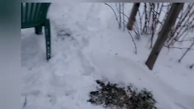палатка уп2 и мфп4 смотреть онлайн