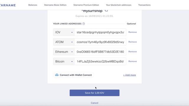 Demonstration of Starname Manager with Wallet Connect смотреть онлайн