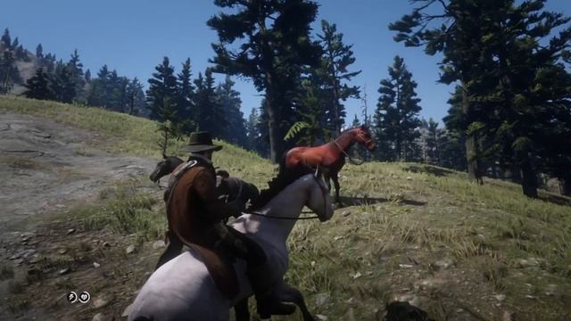 Новая лошадь в RDR 2 | Арабская красно-рыжей масти смотреть онлайн