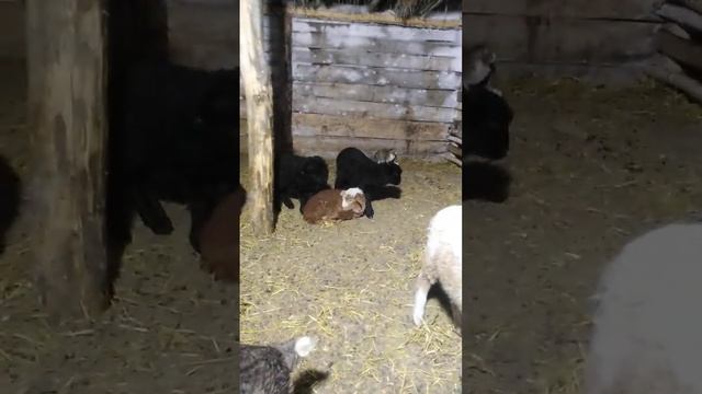 #краткий#обзор# смотреть онлайн