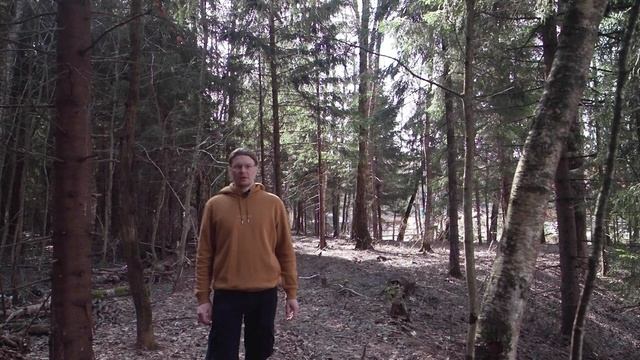 NOIR-audio TRIPLE беспроводной петличный микрофон с разъёмами Lightning, Type-C, Jack 3.5. Обзор. смотреть онлайн