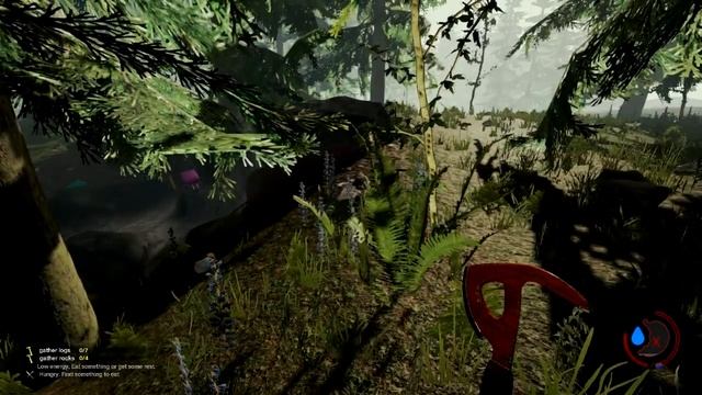 The Forest: MAX SETTINGS 9600GT Athlon 64x2 4800 3Ghz 5GB with Fraps TEST смотреть онлайн