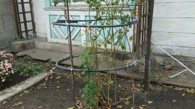 Макеевка ДНР Россия , что это мы тут делаем ?