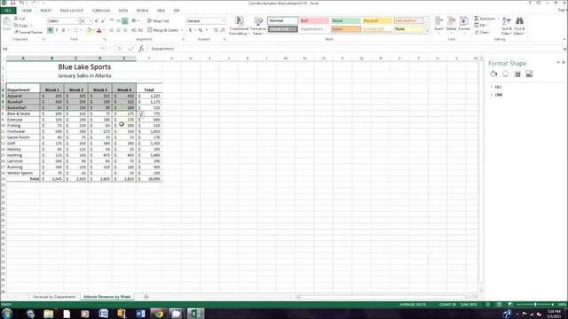 Excel Guided Project 3