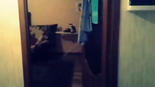 Домовой страшное видео смотреть онлайн