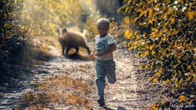 ЖестьСтрашные Истории Белая Свинья смотреть онлайн