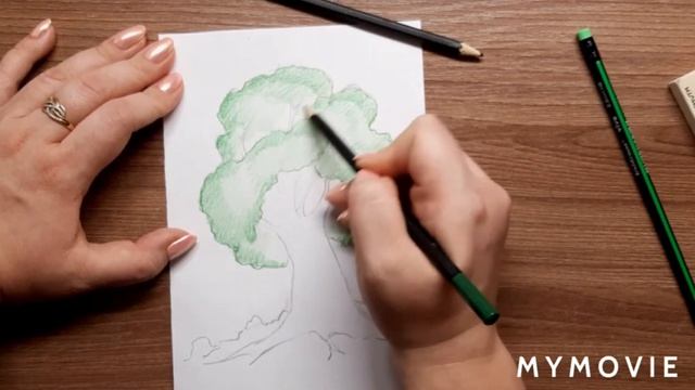 Как нарисовать дерево цветными карандашами. Выпуск 11 смотреть онлайн