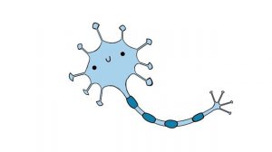 Зачем нужно учиться