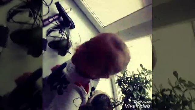 3 выходных пОдРяД смотреть онлайн