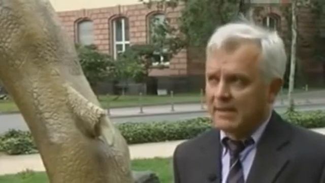 Как увеличивается масса Земли. Теория увеличения массы Земли смотреть онлайн