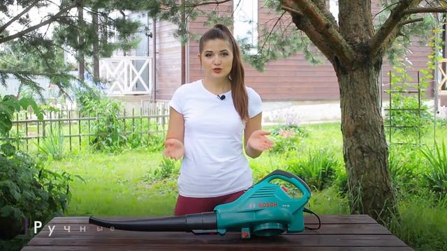 Как выбрать садовый пылесос | Обзор от онлайн-гипермаркета 21 век смотреть онлайн