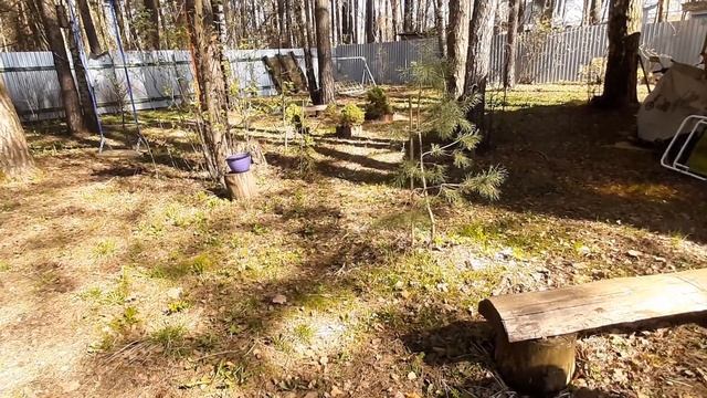 А покрасоваться? Да комплиментов набрать?/РОБОТ!/АккуратненькаяСтрижка смотреть онлайн