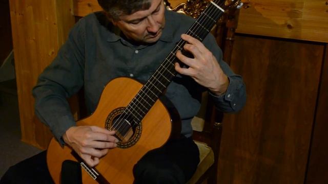 Воспоминание об Альгамбре / Recuerdos De La Alhambra