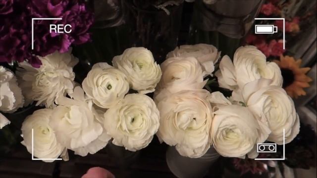 VLOG: Продажи в январе, новая кукла и книги // 08.01.2019 смотреть онлайн