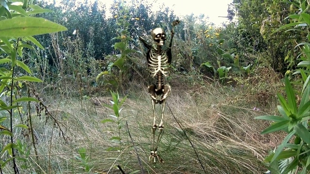 ЩЕНЯЧИЙ ПАТРУЛЬ ✽ Щенки Встречают Танцующий Скелет ✽ Скай и Гонщик 