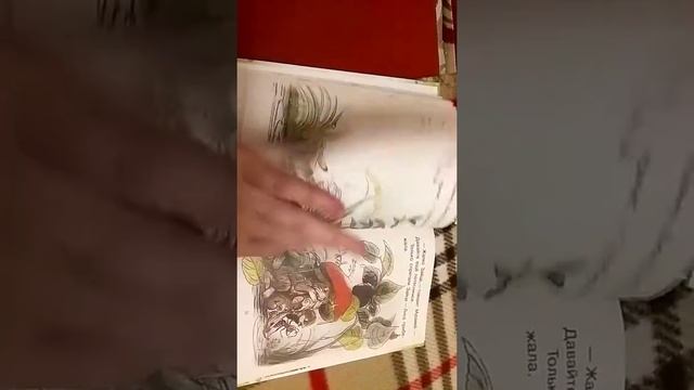 Листаем В. Сутеев издательство "Конфетти" Самые любимые сказки смотреть онлайн