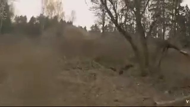 Скачал новую игру ROLEVIK смотреть онлайн