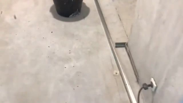 Как выровнять пол по маякам, сделанным из плиточного клея смотреть онлайн