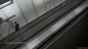 Станция метро «Петровско-Разумовская» (выход) // 17 октября 2019 года