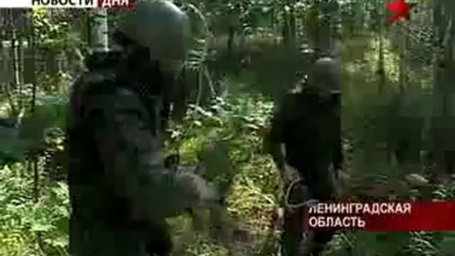 Поиск на 