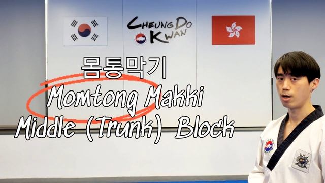 Taekwondo Terminology - Poomsae 1 & 2 Basic Blocks (Tutorial #1) смотреть онлайн