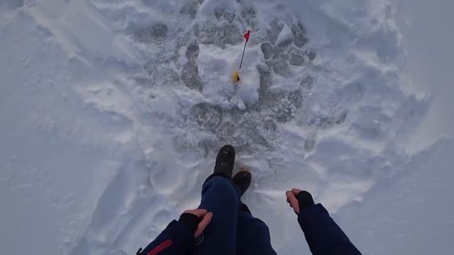Ловля щуки на жерлицы. Испытываем электро бур! смотреть онлайн