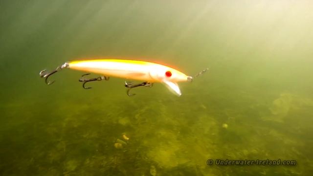 How to use & film underwater Salmo fishing lures for pike, muskie, bass. Воблеры для щуки и окуня смотреть онлайн