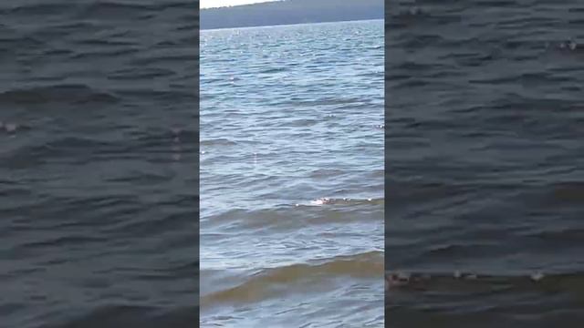 снова на шабашке) озеро малое Миассово, Челябинская обл. смотреть онлайн