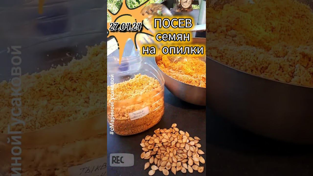 ПРИ ТАКОМ ПОСЕВ даже старые семена прорастут быстро | с Мариной Гусаковой смотреть онлайн