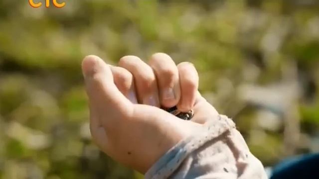 Тёмный мир: Равновесие 12 серия смотреть онлайн