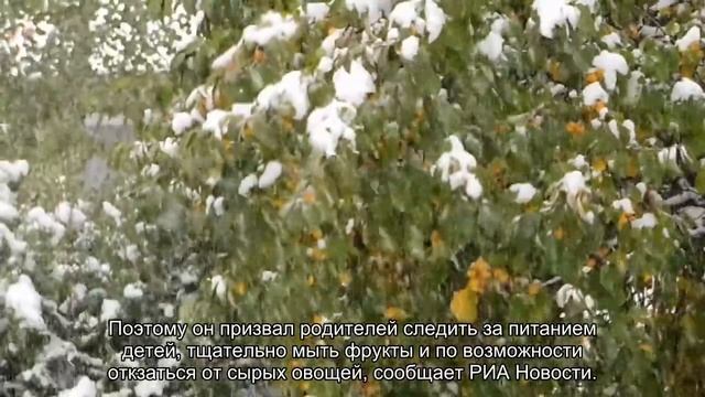 Онищенко против продажи сырого молока в Петербурге смотреть онлайн