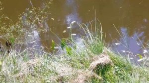 Реставрации  или восстановление Валдая.