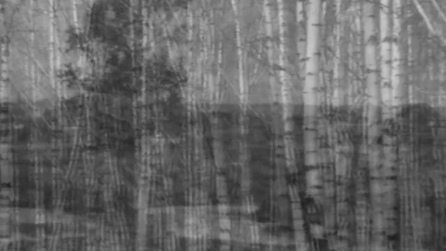 СЁСТРЫ ФЁДОРОВЫ. Восемнадцать лет. смотреть онлайн