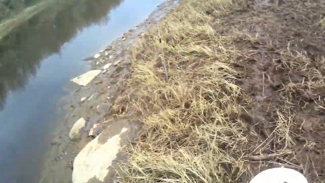 Лещ на фидер,р Черёмуха, Рыбинск 27 04 2019г смотреть онлайн