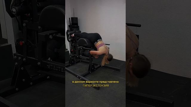 Экстензия в тренажере на заднюю поверхность бедра смотреть онлайн