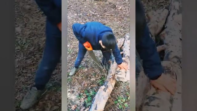 Как достать лезвие топора, если оно застряло в пеньке смотреть онлайн