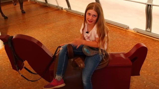 Deutsches Pferdemuseum Verden [Reportage]