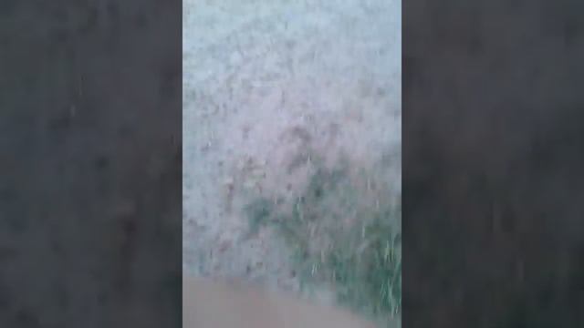 што нала делать во время дождя смотреть онлайн